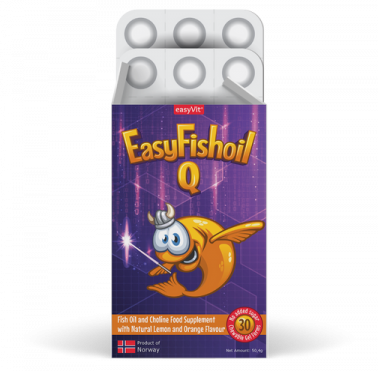 EasyFishoil Q (ИзиФишОйл Q) тб жевательные №30